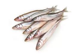 Мелкая корюшка